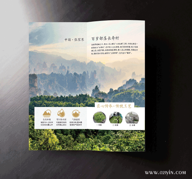 茶葉折頁(yè)  第2張