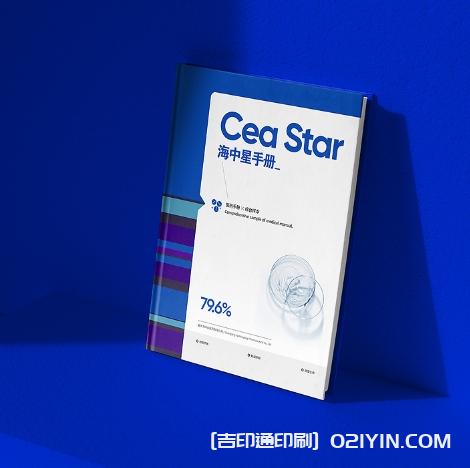 商業(yè)研發(fā)手冊設計印刷  第2張