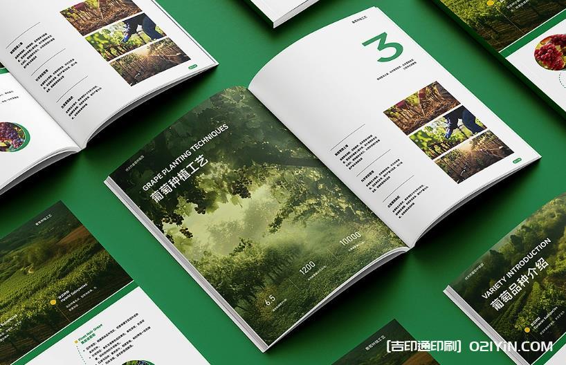 上海產(chǎn)品畫冊印刷避坑指南：文件規(guī)范、工期把控與質(zhì)量驗收要點  第1張