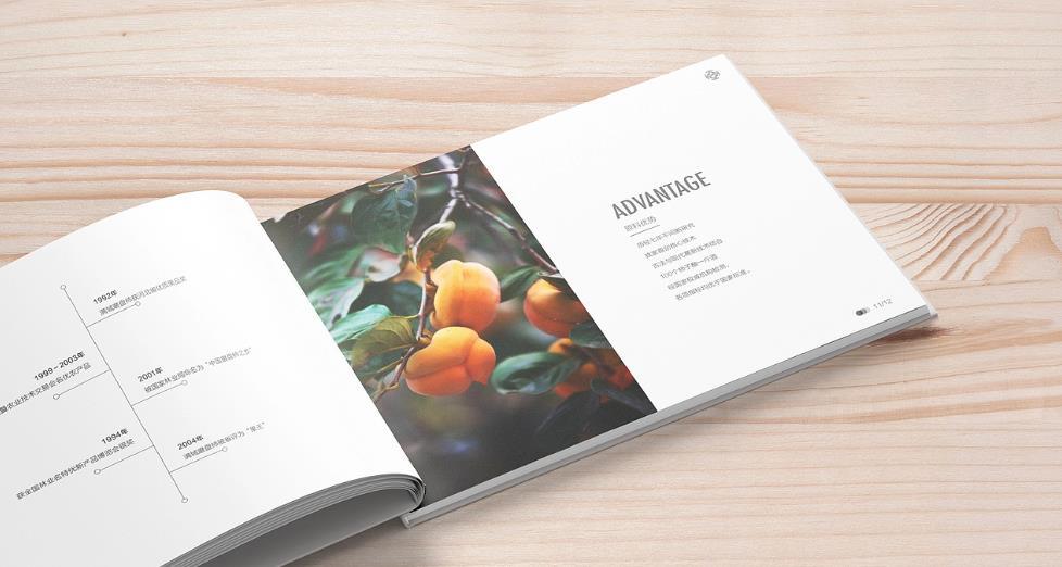 上海黃浦區(qū)畫冊印刷的設計需求有哪些？