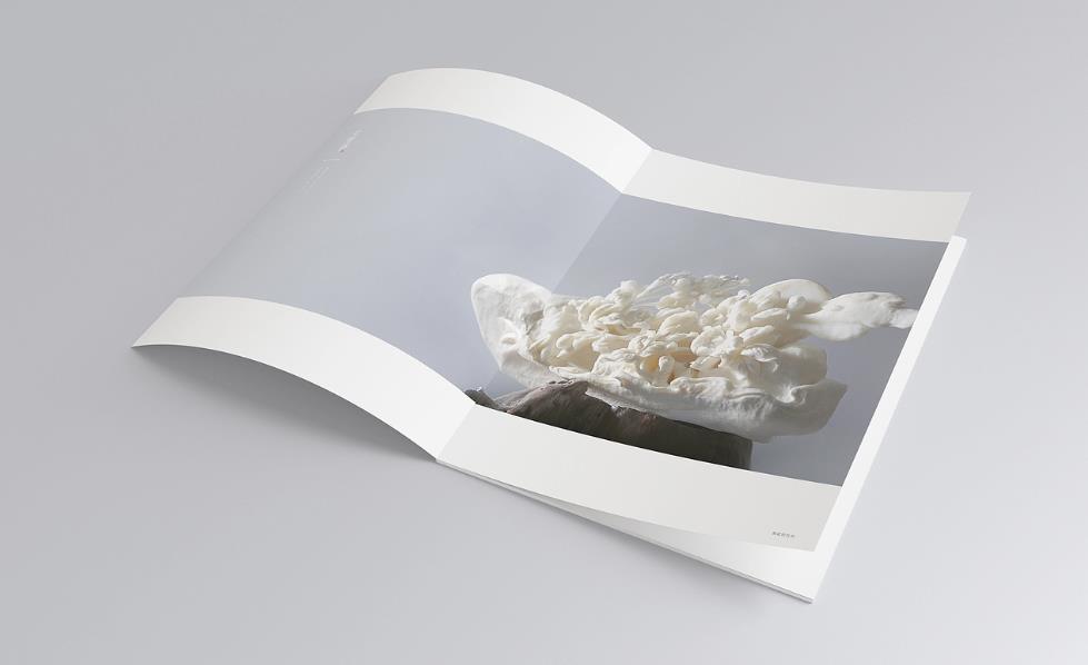 彩頁印刷常規(guī)尺寸有哪些？